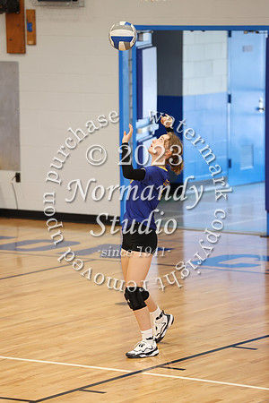 CHS_vb-g-v_50