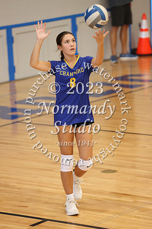 CHS_vb-g-v_48