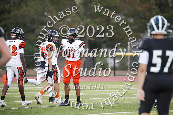 SVL_fb-j_10