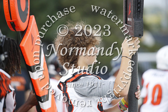 SVL_fb-j_17