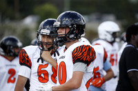 SVL_fb-j_18