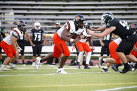 SVL_fb-j_19