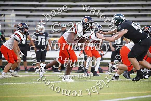 SVL_fb-j_19