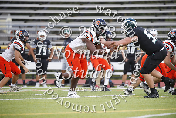 SVL_fb-j_20