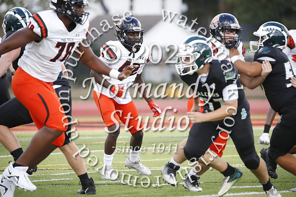 SVL_fb-j_23
