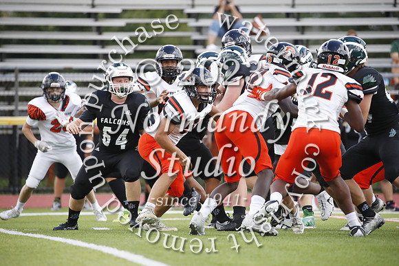 SVL_fb-j_28