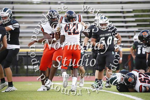 SVL_fb-j_29