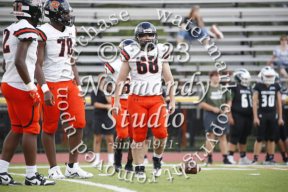 SVL_fb-j_31