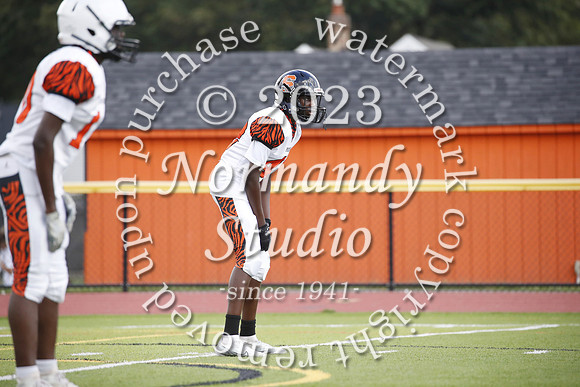 SVL_fb-j_30