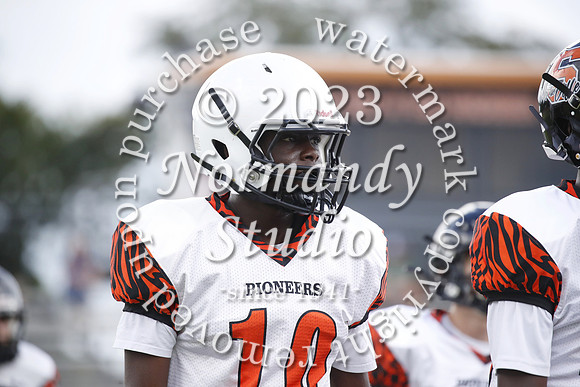 SVL_fb-j_35