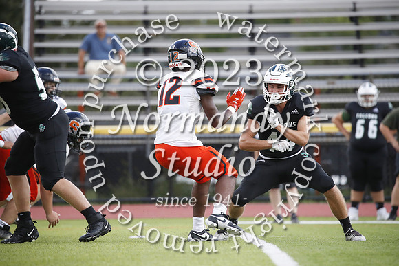 SVL_fb-j_41