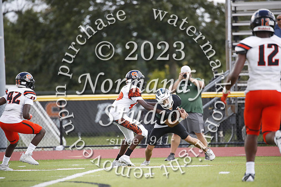 SVL_fb-j_39