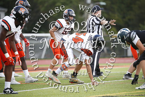 SVL_fb-j_44