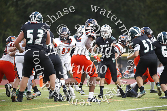 SVL_fb-j_45