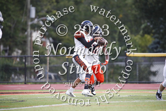 SVL_fb-j_50