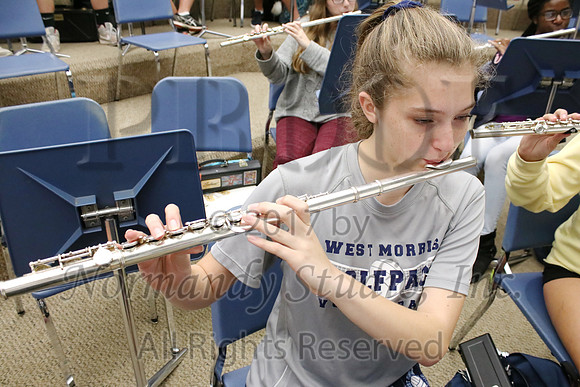 WMC_029_slc