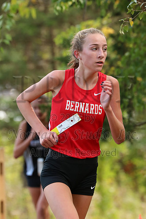BER_016_cc-g