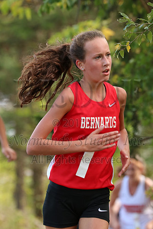 BER_026_cc-g