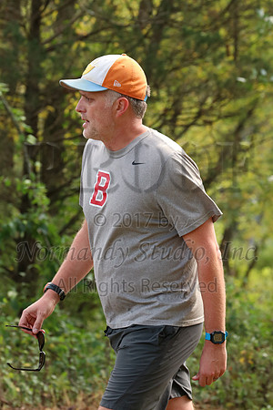 BER_031_cc-b