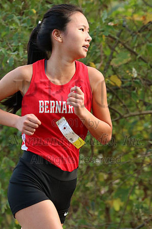 BER_037_cc-g