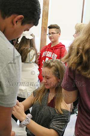 CHS_032_slc