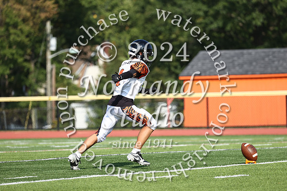 SVL_fb-f_48