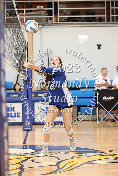 UCH_vb-g_24