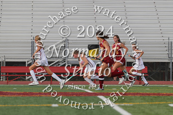 BER_fh_05