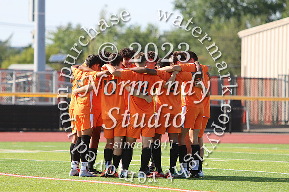 SVL_so-b-v_14
