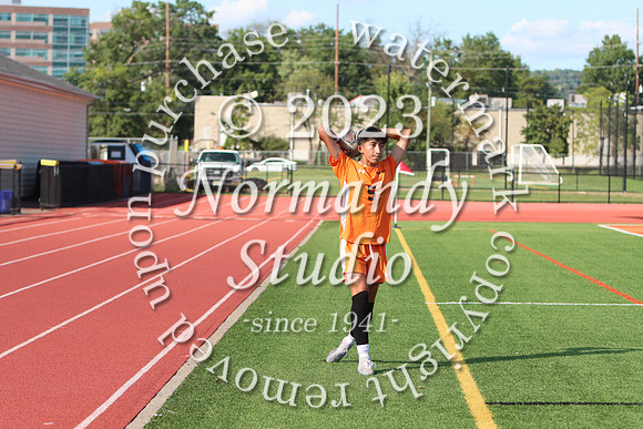 SVL_so-b-v_41