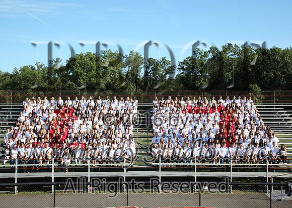 MNP_05_srg