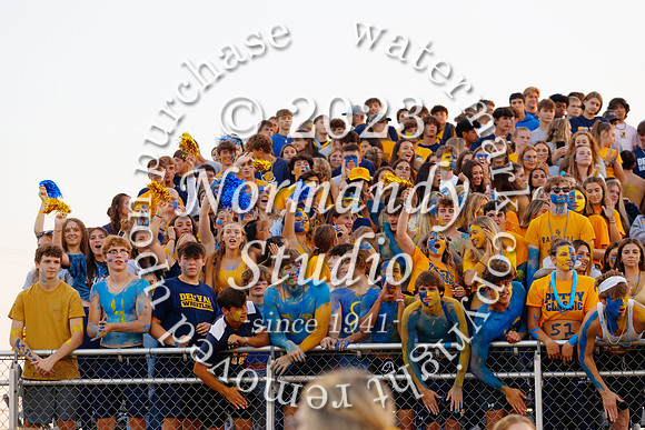 DVH_fans_15