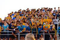DVH_fans_14