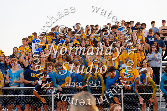 DVH_fans_14