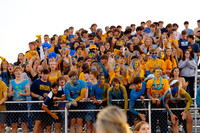 DVH_fans_13