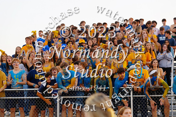 DVH_fans_13