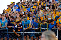 DVH_fans_11