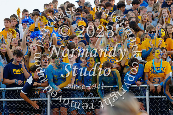 DVH_fans_12