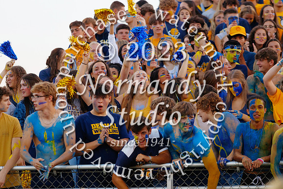 DVH_fans_17