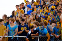 DVH_fans_18
