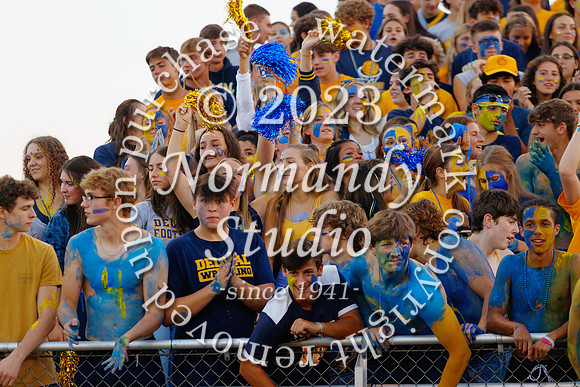 DVH_fans_18