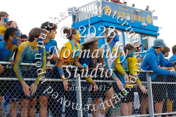 DVH_fans_20