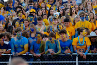 DVH_fans_19
