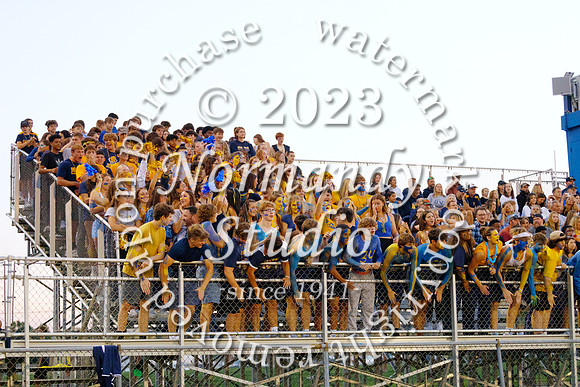 DVH_fans_24