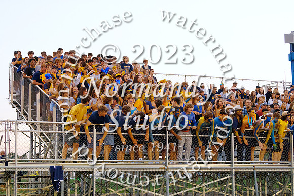 DVH_fans_22