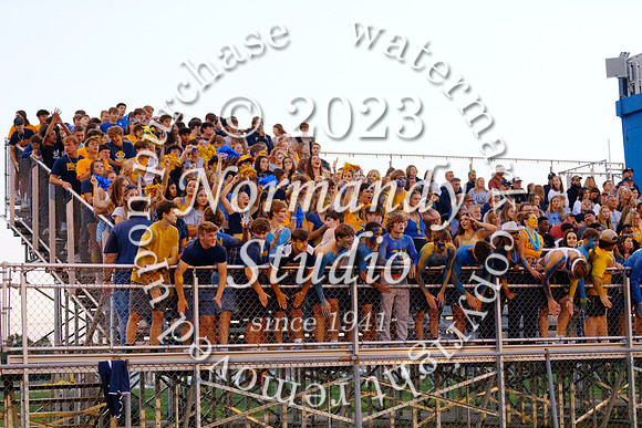 DVH_fans_25