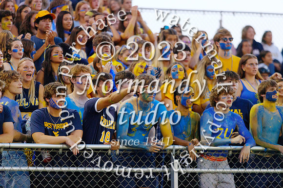 DVH_fans_28