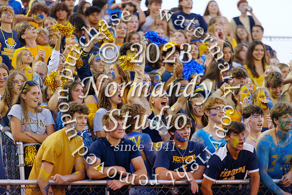 DVH_fans_27