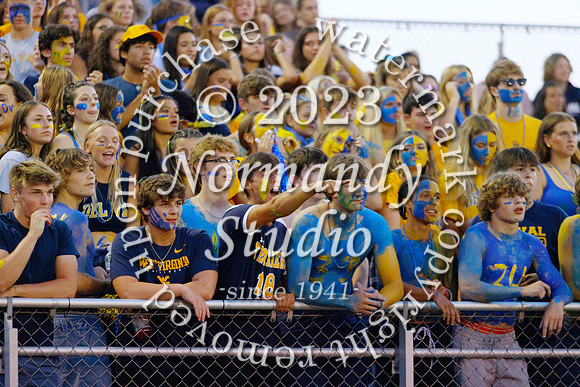 DVH_fans_29