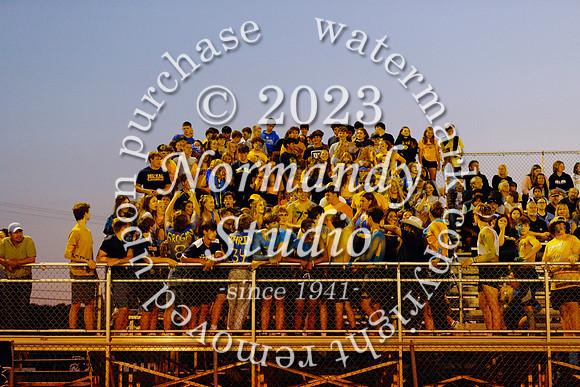 DVH_fans_30